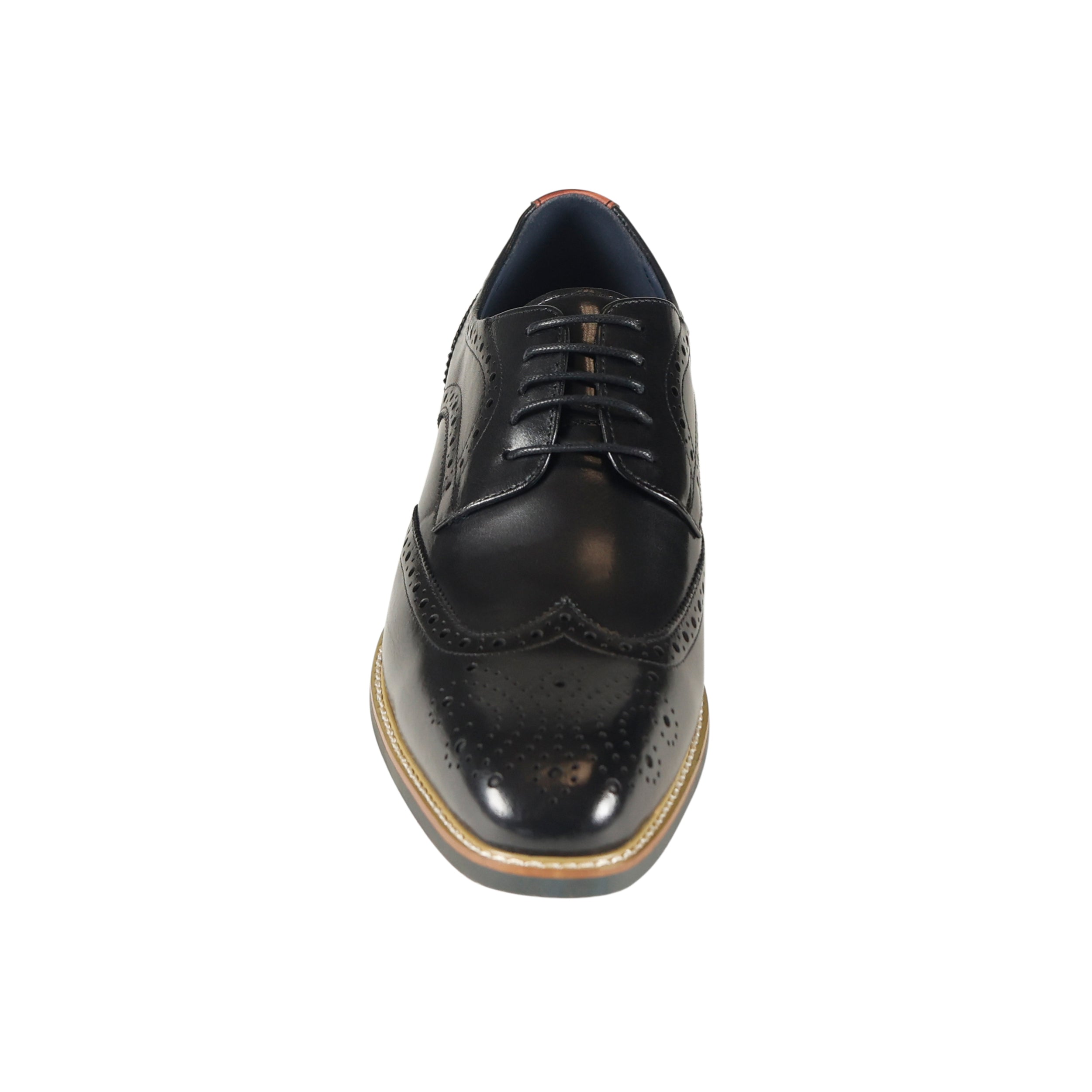 Venezia Black Venezia Black