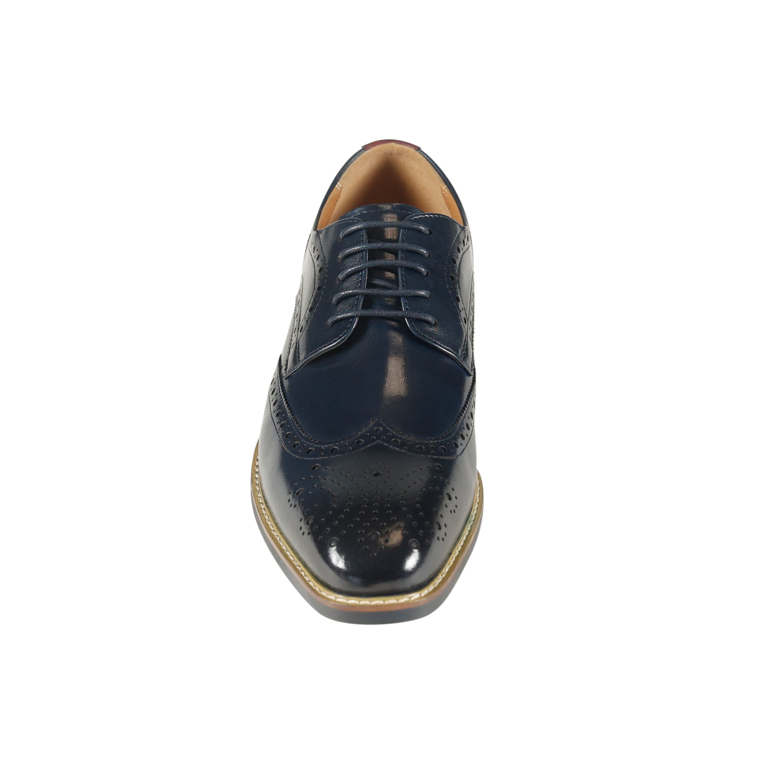 Venezia Navy Venezia Navy
