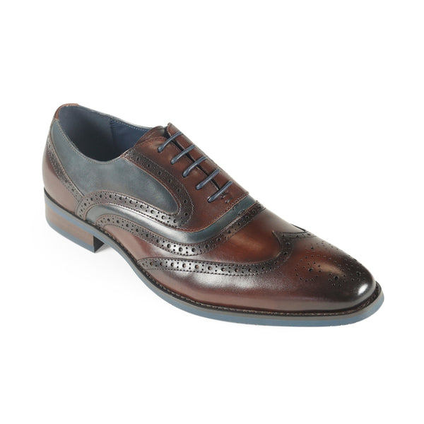 Webster Brown/Navy