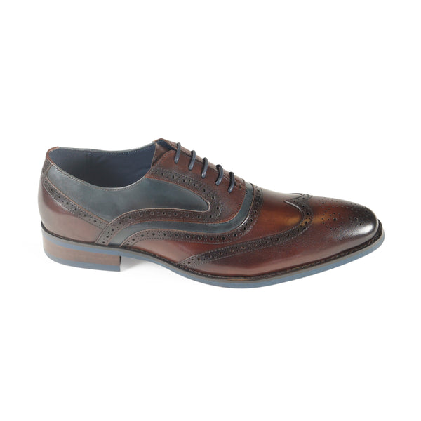 Webster Brown/Navy